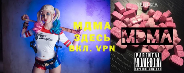 индика Инсар