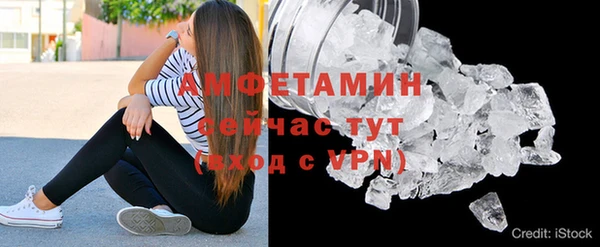 индика Инсар