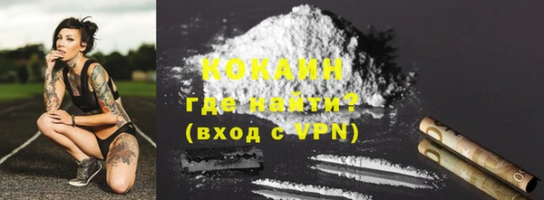 индика Инсар