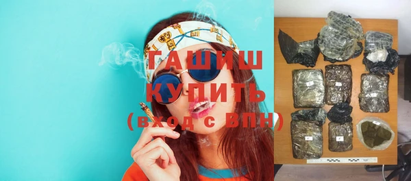 индика Инсар