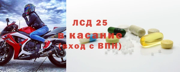 индика Инсар