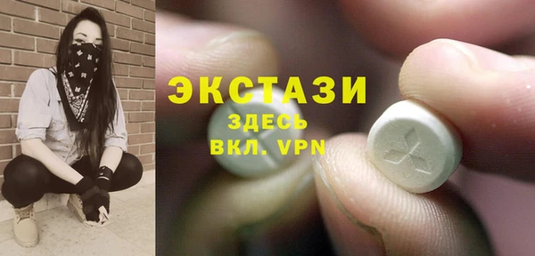 индика Инсар
