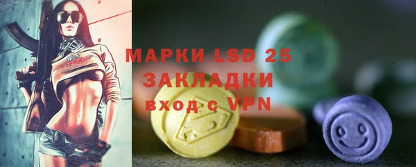 индика Инсар