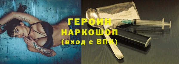 индика Инсар