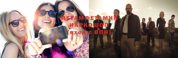 индика Инсар