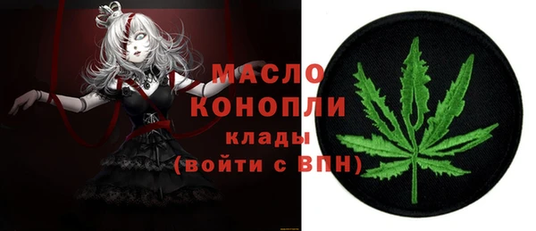 индика Инсар