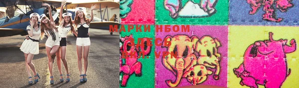 индика Инсар
