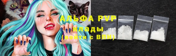 индика Инсар