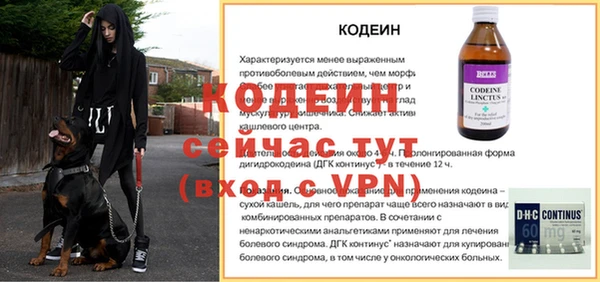 индика Инсар