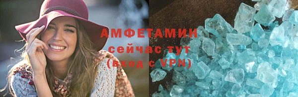 индика Инсар