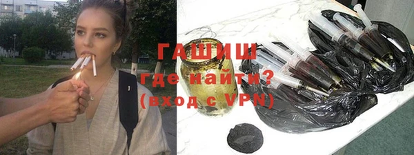 индика Инсар