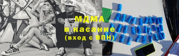 индика Инсар